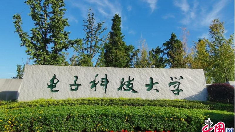 揭秘贴片加工定制流程：从设计到成品的蜕变之路