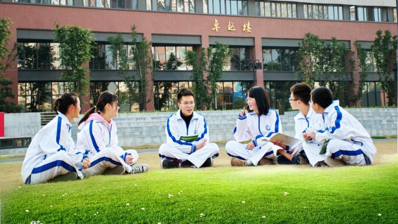 TO系列二极管封装尺寸揭秘：关键参数与选型指南**